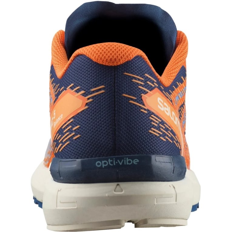 Orange Salomon Sonic 5 Balance Men's Running Shoes | PH 89015O